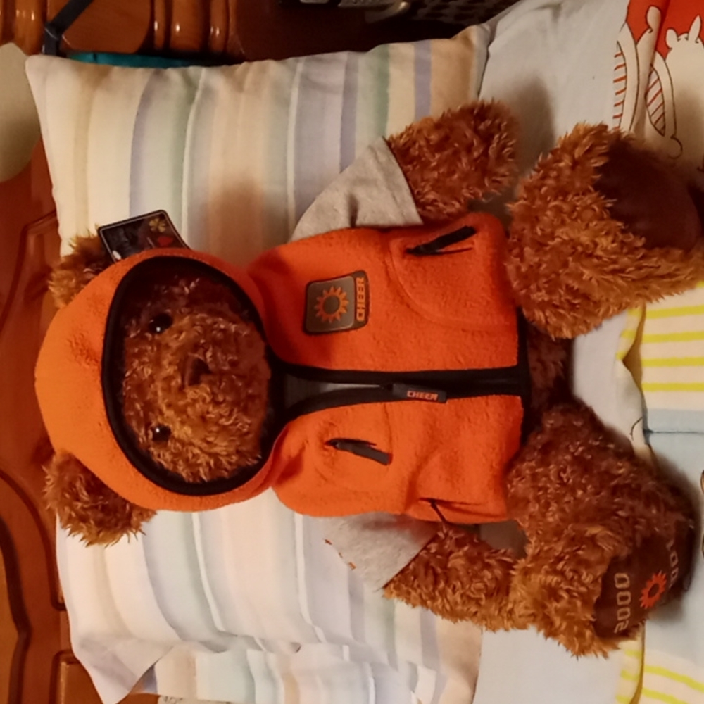 NWT Vintage Collectible BIG Millennium Wish Teddy Bear "CHEER" 2000-2001 🐻